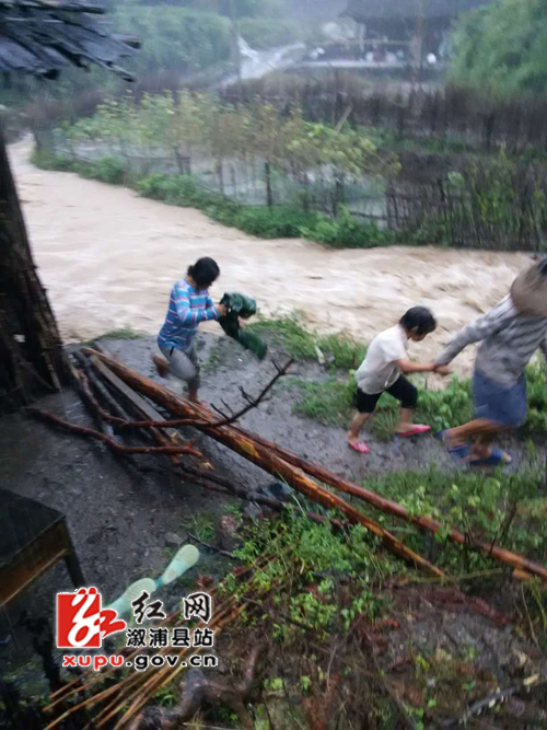 本网讯(通讯员 江淑梅 张淑娴"是村里干部救了我们一家人的性命!