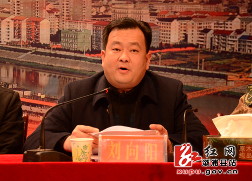 王巧兰作全县组织,统战工作报告县委副书记翟波主持会议县委副书记