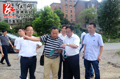 刘生礼指导大江口镇岸坡整治工程建设_时政要闻_溆浦新闻网